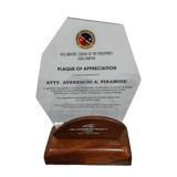 VMLP Plaque