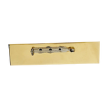 Cebu Doctors' University (CDU) College of Rehabilitative Science Physical Therapy Nameplate