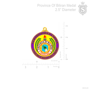 Province Of Biliran Medal