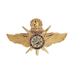 VIP Master Pin