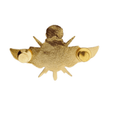 VIP Master Pin