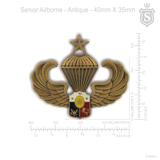 Senior Airborne Pin