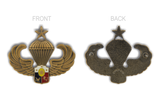 Senior Airborne Pin