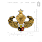 Senior Airborne Pin