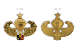 Senior Airborne Pin