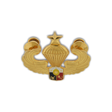Senior Airborne Pin