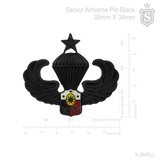 Senior Airborne Pin