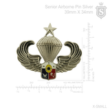 Senior Airborne Pin