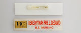 University of Cebu Lapu-Lapu and Mandaue (UCLM) Nameplate - BS Nursing