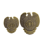 Intelligence Basic Course (IBC) Pin