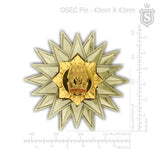 Office Senior Executive Course (OSEC) Pin