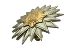 Office Senior Executive Course (OSEC) Pin