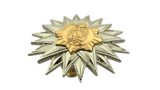 Office Senior Executive Course (OSEC) Pin