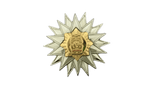Office Senior Executive Course (OSEC) Pin