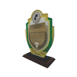 Perpetual Succour Hospital Plaque