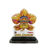 Dipolog Marathon Plaque