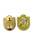 Vital Installation Security And Protection Course Pin