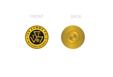 Tau Gamma Pin