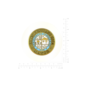 House of Representatives Coin