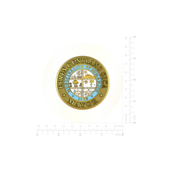 House of Representatives Coin