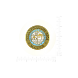 House of Representatives Coin