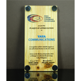 Asian Carriers Conference Incorporated (ACCI) Wood with Acrylic Cover Plaque 8 inch