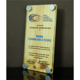 Asian Carriers Conference Incorporated (ACCI) Wood with Acrylic Cover Plaque 8 inch