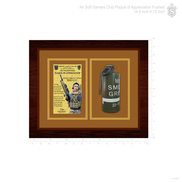 Air Soft Games Club Inc. (ASG) Plaque of Appreciation Framed