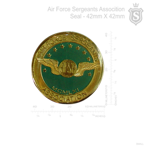 Air Force Sergeants Association (AFSA) Pin
