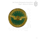 Air Force Sergeants Association (AFSA) Pin