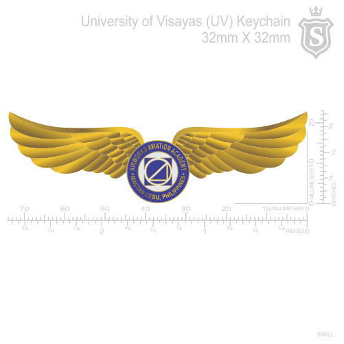 Airworks Aviation Academy Wing Pin