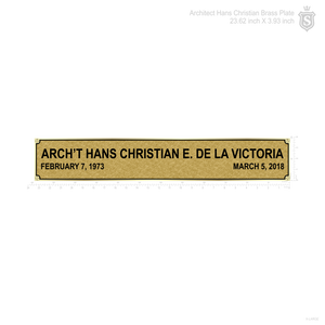 Brass Plate 10cm x 60 cm