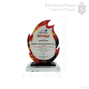Bowlingplex Tenpin Association (BTA) Plaque 2017