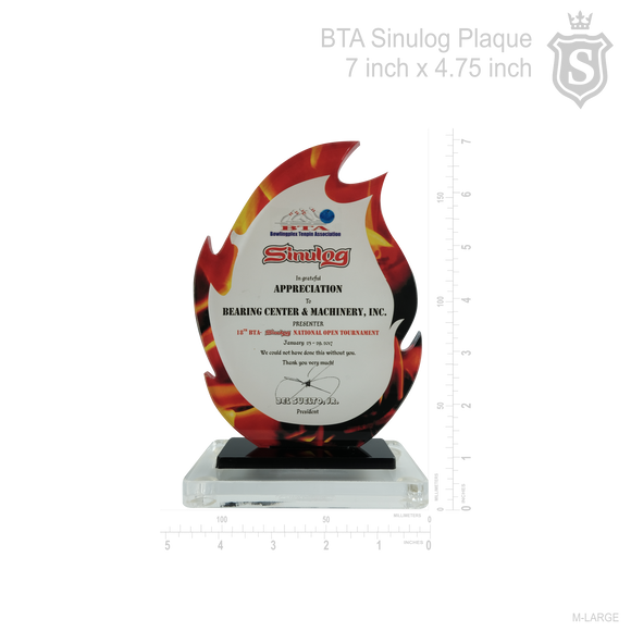 Bowlingplex Tenpin Association (BTA) Plaque 2017