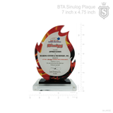 Bowlingplex Tenpin Association (BTA) Plaque 2017