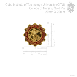 Cebu Institute of Technology University (CITU) College of Nursing Pin