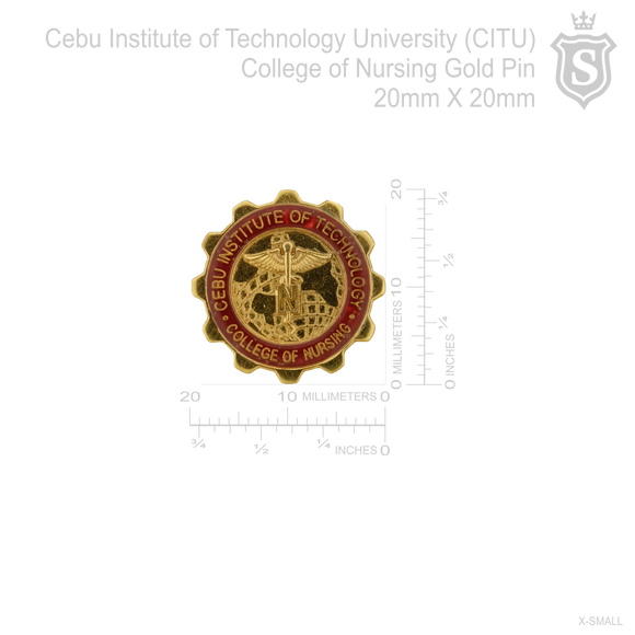 Cebu Institute of Technology University (CITU) College of Nursing Pin