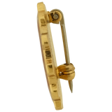 Cebu Institute of Technology University (CITU) College of Nursing Pin