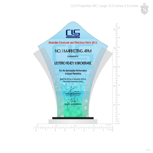 CLS Properties INC. Awarding Ceremony & Christmas Party Plaque of Recognition Large 10.5 inch