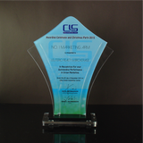 CLS Properties INC. Awarding Ceremony & Christmas Party Plaque of Recognition Large 10.5 inch