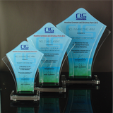 CLS Properties INC. Awarding Ceremony & Christmas Party Plaque of Recognition Large 10.5 inch