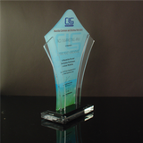 CLS Properties INC. Awarding Ceremony & Christmas Party Plaque of Recognition Large 10.5 inch