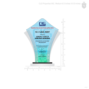 CLS Properties INC. Awarding Ceremony & Christmas Party Plaque of Recognition Medium 8.5 inch