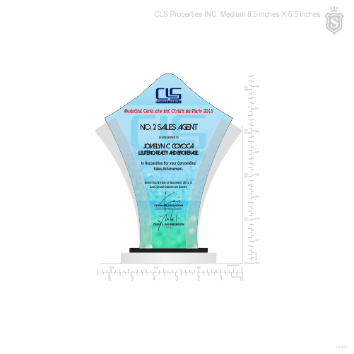 CLS Properties INC. Awarding Ceremony & Christmas Party Plaque of Recognition Medium 8.5 inch