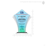 CLS Properties INC. Awarding Ceremony & Christmas Party Plaque of Recognition Small 6.5 inch