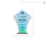 CLS Properties INC. Awarding Ceremony & Christmas Party Plaque of Recognition Medium 8.5 inch