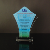 CLS Properties INC. Awarding Ceremony & Christmas Party Plaque of Recognition Medium 8.5 inch