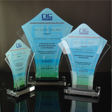 CLS Properties INC. Awarding Ceremony & Christmas Party Plaque of Recognition Medium 8.5 inch