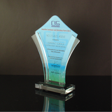 CLS Properties INC. Awarding Ceremony & Christmas Party Plaque of Recognition Medium 8.5 inch