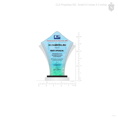 CLS Properties INC. Awarding Ceremony & Christmas Party Plaque of Recognition Small 6.5 inch